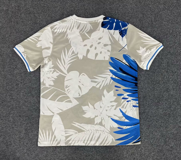 Maillot Brésil concept 2025/26